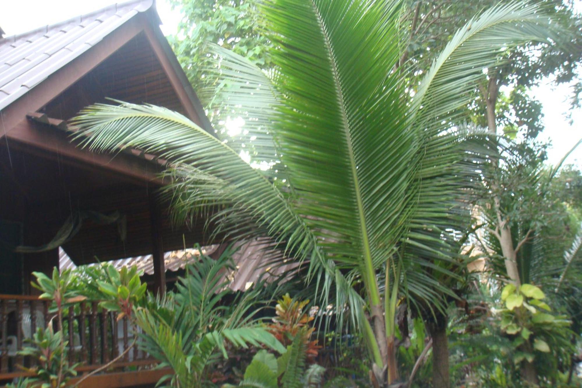 Silver Sands Resort - Koh Tao Exteriör bild
