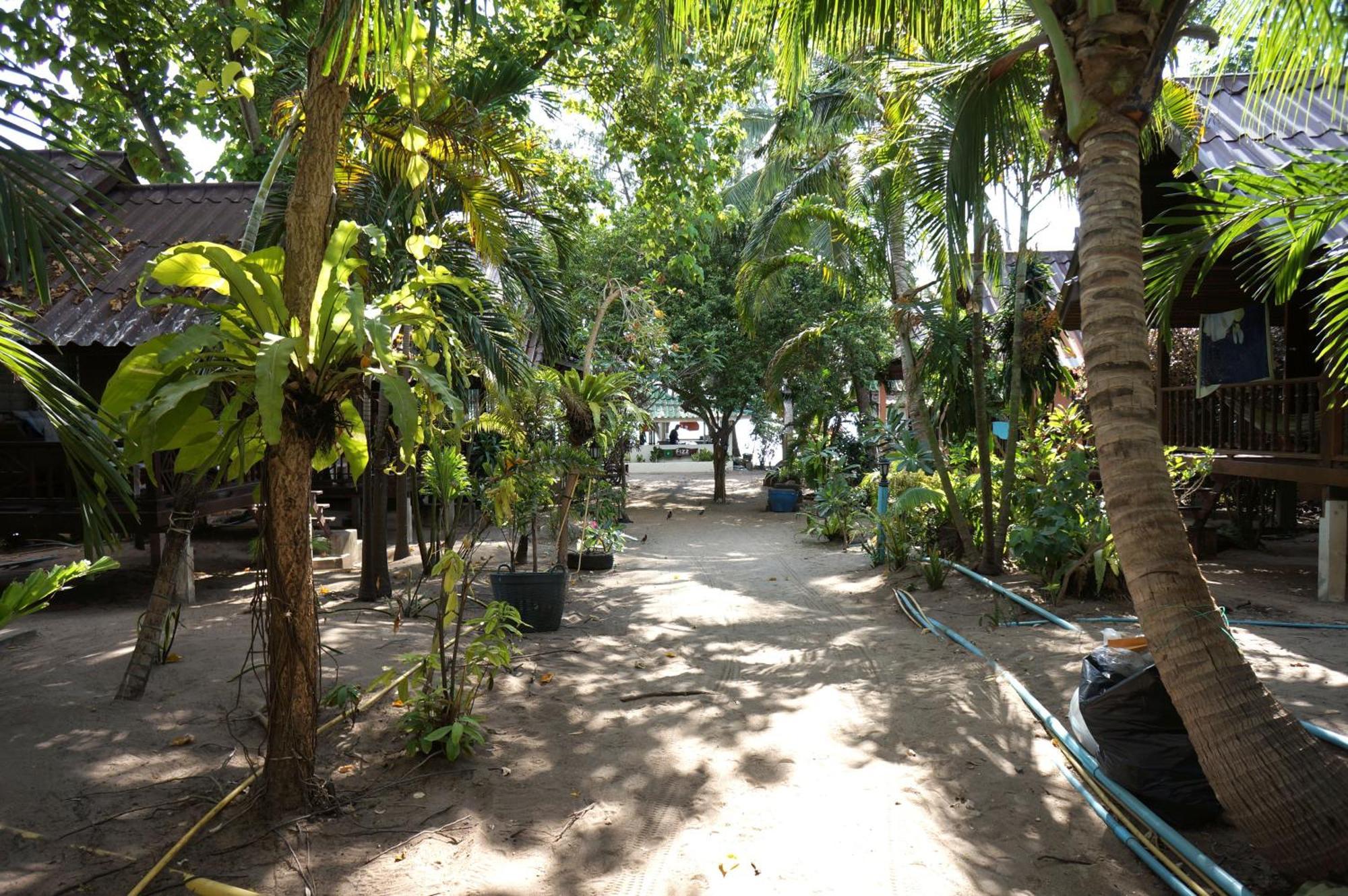 Silver Sands Resort - Koh Tao Exteriör bild